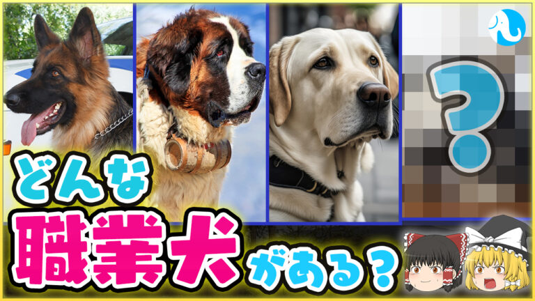 なぜ犬だけ職業犬として活躍できるのか？