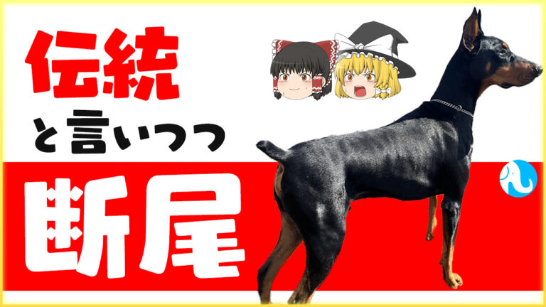 尻尾が長かったり短いかたりする犬種いるのはなぜ？